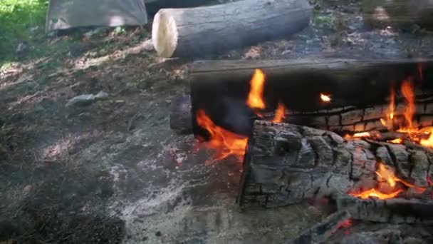 La hoguera de las ramas arde en el bosque. Moción lenta — Vídeos de Stock