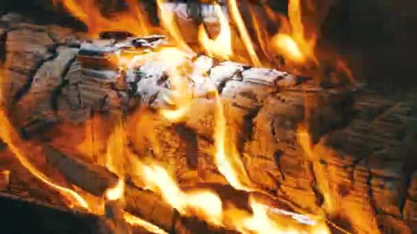 Background of a Fire, a Log Burns — Stock Video