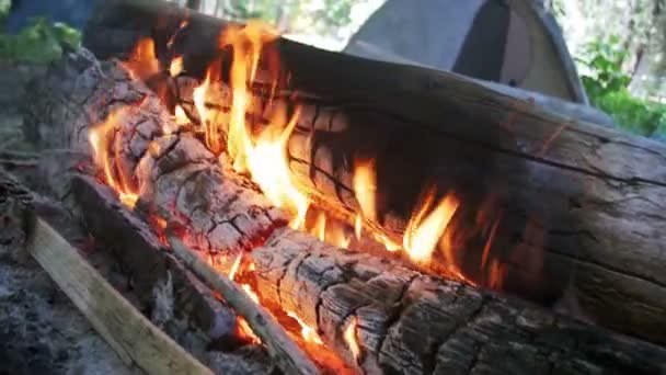 Vreugdevuur brandwonden op de Camping te midden van een Tent en logt in het bos. Slow Motion — Stockvideo