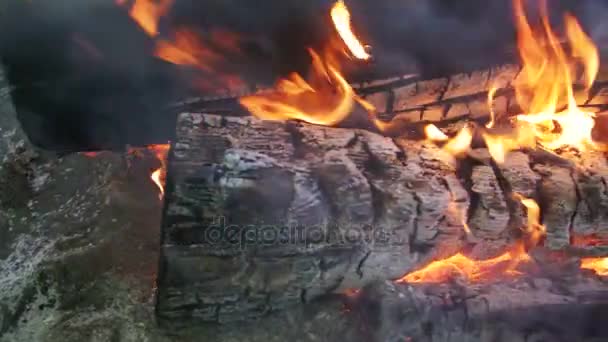 Ovanifrån av lägereld av grenar brännskadan i skogen. Slow Motion — Stockvideo