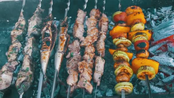 Barbacoa con Deliciosa Carne a la Parrilla y Verduras Cocinadas en la Parrilla — Vídeos de Stock