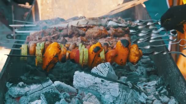 Barbecue met heerlijk gegrilde vlees en groenten bereid op de Grill — Stockvideo