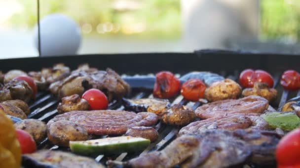 Cozinhar churrasco delicioso e legumes na grelha — Vídeo de Stock