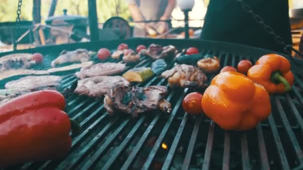 在烤架上烹调肉类和蔬菜 — 图库视频影像