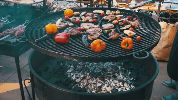 Preparing Meat and Vegetables on the Grill. Slow Motion — Stock Video