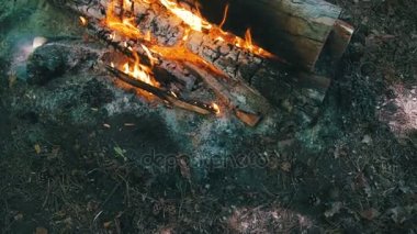 Üstten Görünüm dalları yanık ormanda kamp ateşi. Ağır çekim