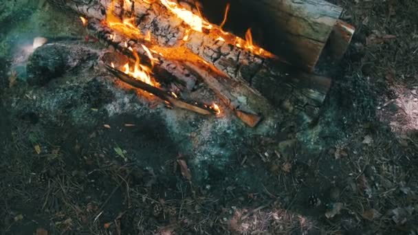 Vue du dessus du feu de camp des branches brûlent dans la forêt. Mouvement lent — Video