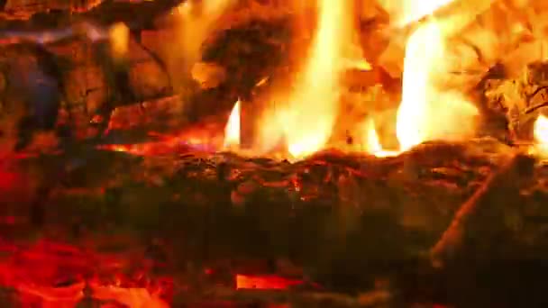 Ognisko gałęzi płonie w nocy w lesie. Czas ucieka. — Wideo stockowe