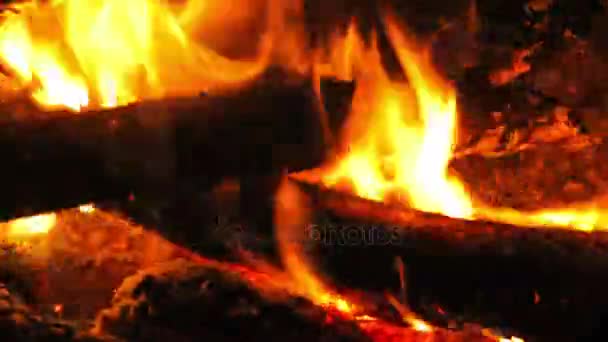 Bakgrund av elden. Tidsfördröjning — Stockvideo