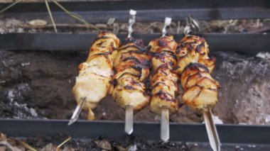 Kebap ile tavuk musun ateş üzerinde pişmiş niteliğine