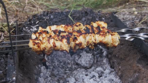 A csirke kebabot a főtt a a tűz természet — Stock videók