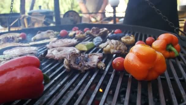 Madlavning grill Lækker og grøntsager på grillen – Stock-video