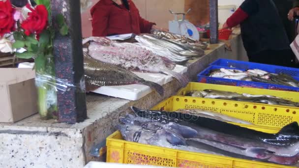 Poissons de mer frais en magasin — Video