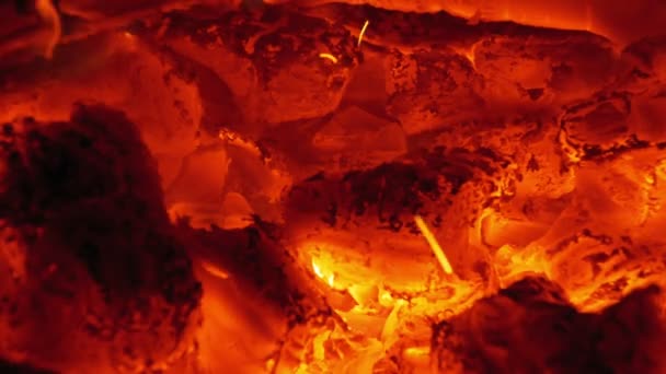 晚上在森林里的树枝烧伤的篝火 — 图库视频影像