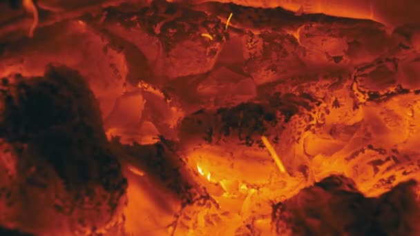 在森林里在晚上点燃的篝火 — 图库视频影像