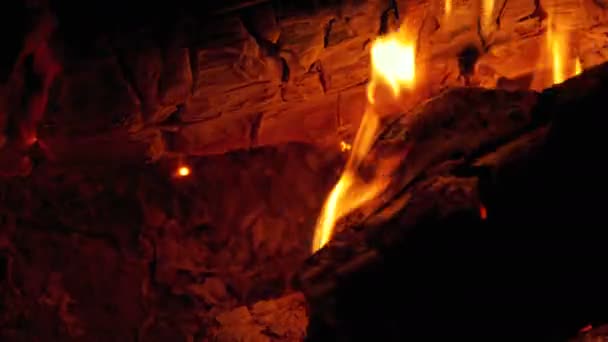 Geceleri dalları yanık ormanda kamp ateşi — Stok video