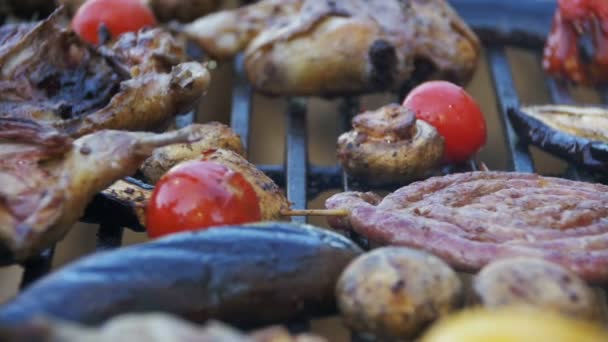 Preparación de carne y verduras en la parrilla. Moción lenta — Vídeos de Stock