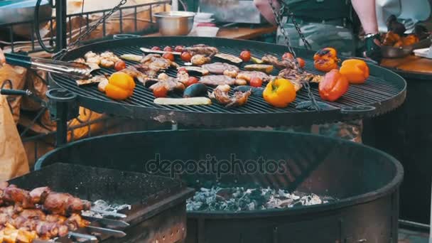 Het bereiden van vlees en groenten op de Grill. Slow Motion — Stockvideo