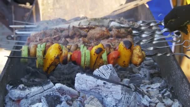 Barbecue avec de délicieuses viandes et légumes grillés cuits sur le gril — Video