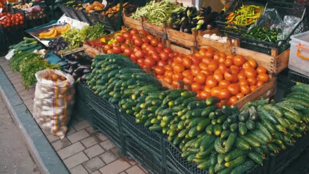 Showcase grönsaker. Farm fruktmarknad — Stockvideo