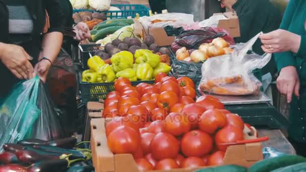 Obchod prodávající prodává zelenina a ovoce na pultě spontánní trhu — Stock video