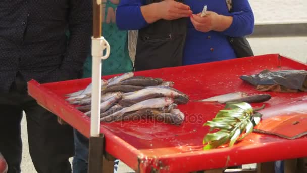Sprzedaży ryb na spontaniczne rynku — Wideo stockowe