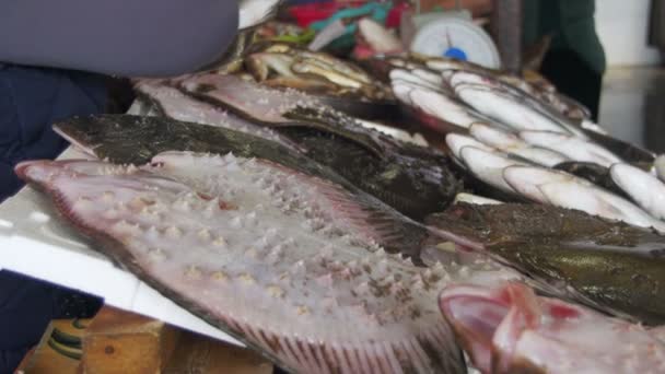 Peixes do mar fresco no mercado de balcão — Vídeo de Stock