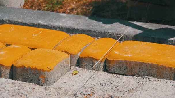 Trabalhador Deitado laje de pavimentação de pedra — Vídeo de Stock