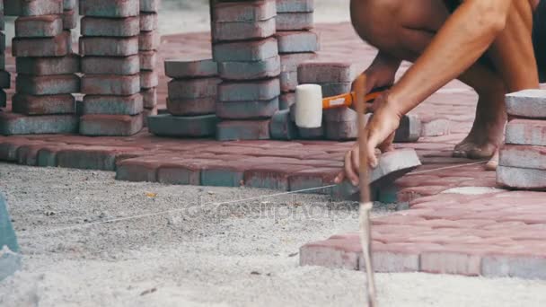 Assentamento de pedras de pavimentação — Vídeo de Stock