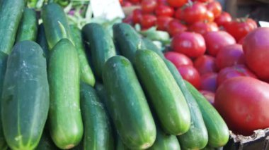 Vitrin sebze. Sebzeli yemek piyasada counter.