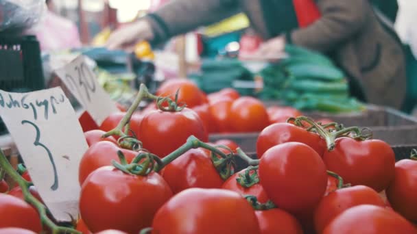 Vetrina con pomodori e verdure nel mercato alimentare. Scambi — Video Stock