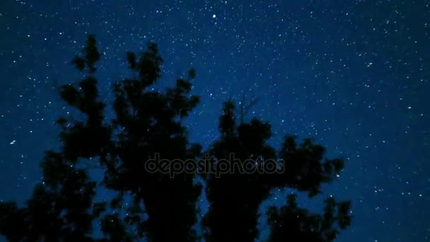 Mozgó csillagok éjszakai égbolt, fák alatt. Idő telik el. — Stock videók