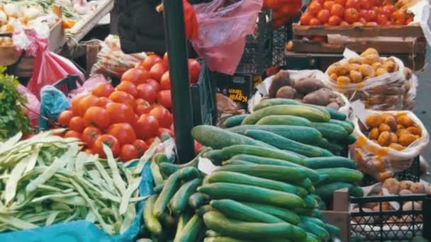 Färska grönsaker på disk i butiken — Stockvideo
