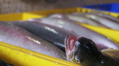 Taze deniz balığı shop