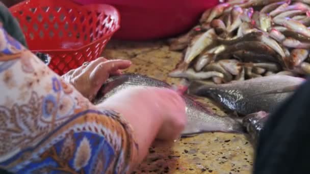 Fish Vendor Scaling Fish in Market Stall — Stock Video