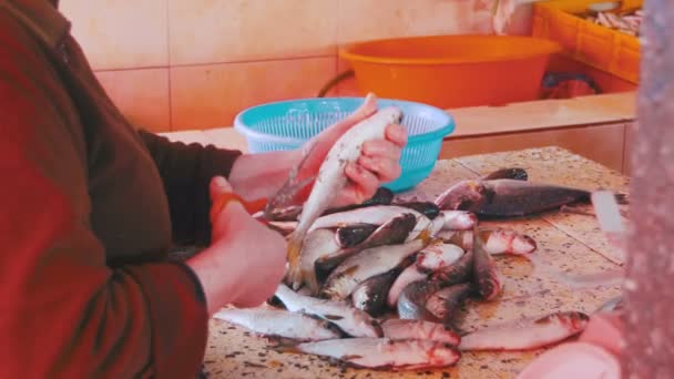 Fischverkäufer schuppt Fisch im Marktstand — Stockvideo