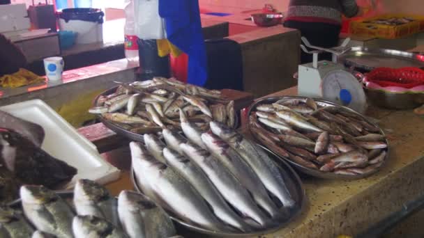 Färsk havsfisk i is på Counter marknaden — Stockvideo