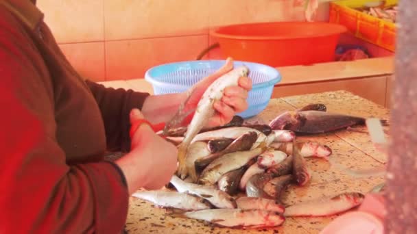 Mujer vendedor cortar el pescado en el mercado de pescado — Vídeo de stock