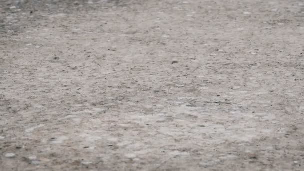 Капли дождя падают на тротуар, образуя лужу — стоковое видео