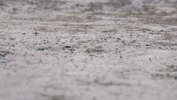 Gotas de queda de chuva para o pavimento formando um pudim — Vídeo de Stock