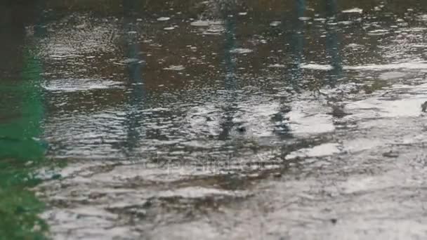 Краплі дощу падають на тротуарі, утворюючи калюжі — стокове відео