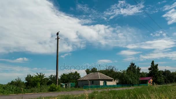 Stork sitter på en stolpe i byn och rörliga moln. Tidsfördröjning — Stockvideo