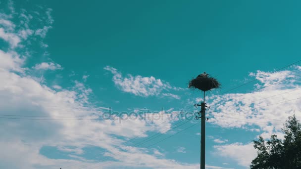 Bocian w gnieździe na linie energetyczne wysokiego napięcia filar, na tle nieba — Wideo stockowe