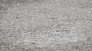 Yağmur damlaları bir su birikintisi şekillendirme kaldırım düşmek