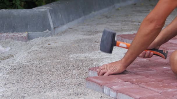 Tot vaststelling van straatstenen — Stockvideo