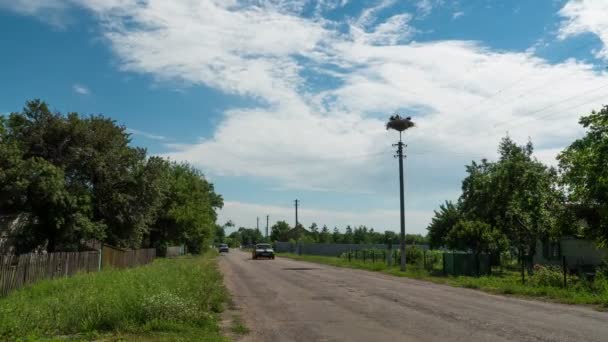 Ooievaars zitten in een Nest op een pijler High Voltage Power lijnen in dorp. Time-lapse — Stockvideo
