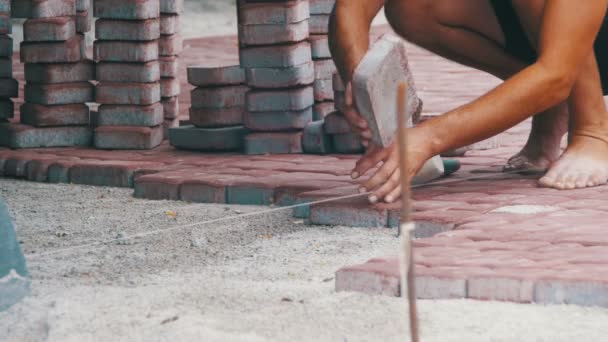 Рабочий кладет тротуары с помощью молотка — стоковое видео