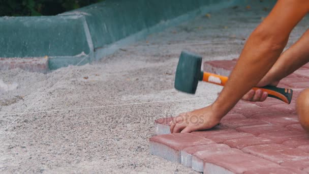 The Builder is Laying Paving Stones — Stock Footage The Builder is Laying Paving Stones Royalty Free Stock Video