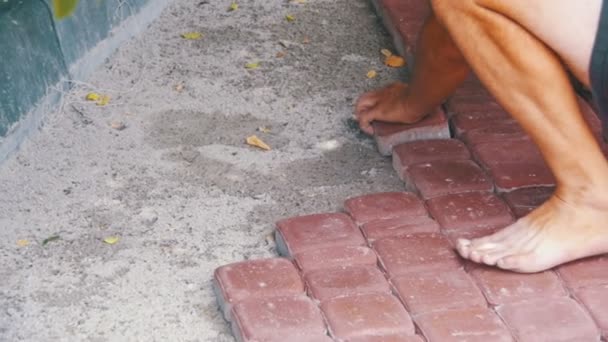 Trabalhador deitado pedra pavimentação laje. Movimento lento — Vídeo de Stock