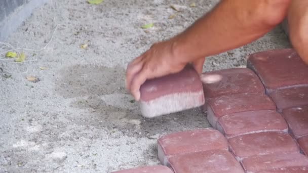 Arbeiter verlegen Pflastersteine mit Hammer. Zeitlupe — Stockvideo